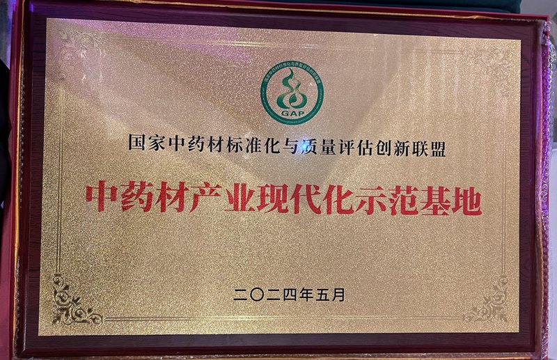 中藥產業(yè)現代化示范基地（2024）